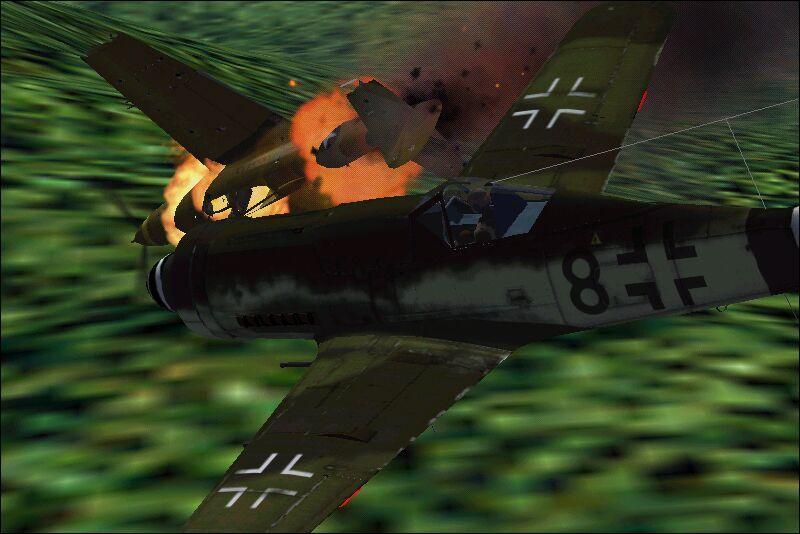 Virtual Wings